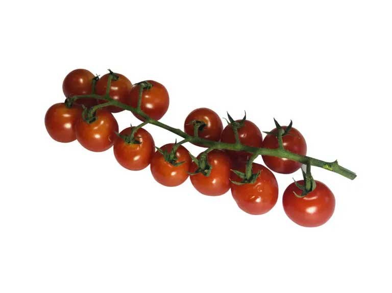 Cherry vine tomatoes